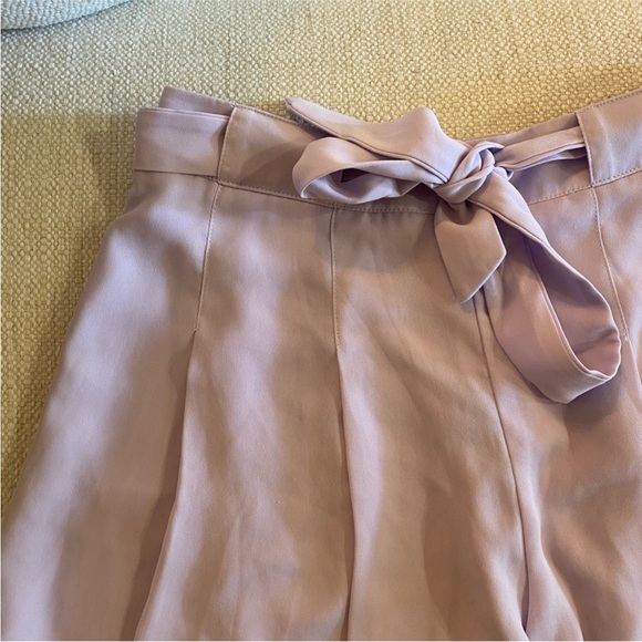 Aritzia pleated shorts - Picture 3 of 4